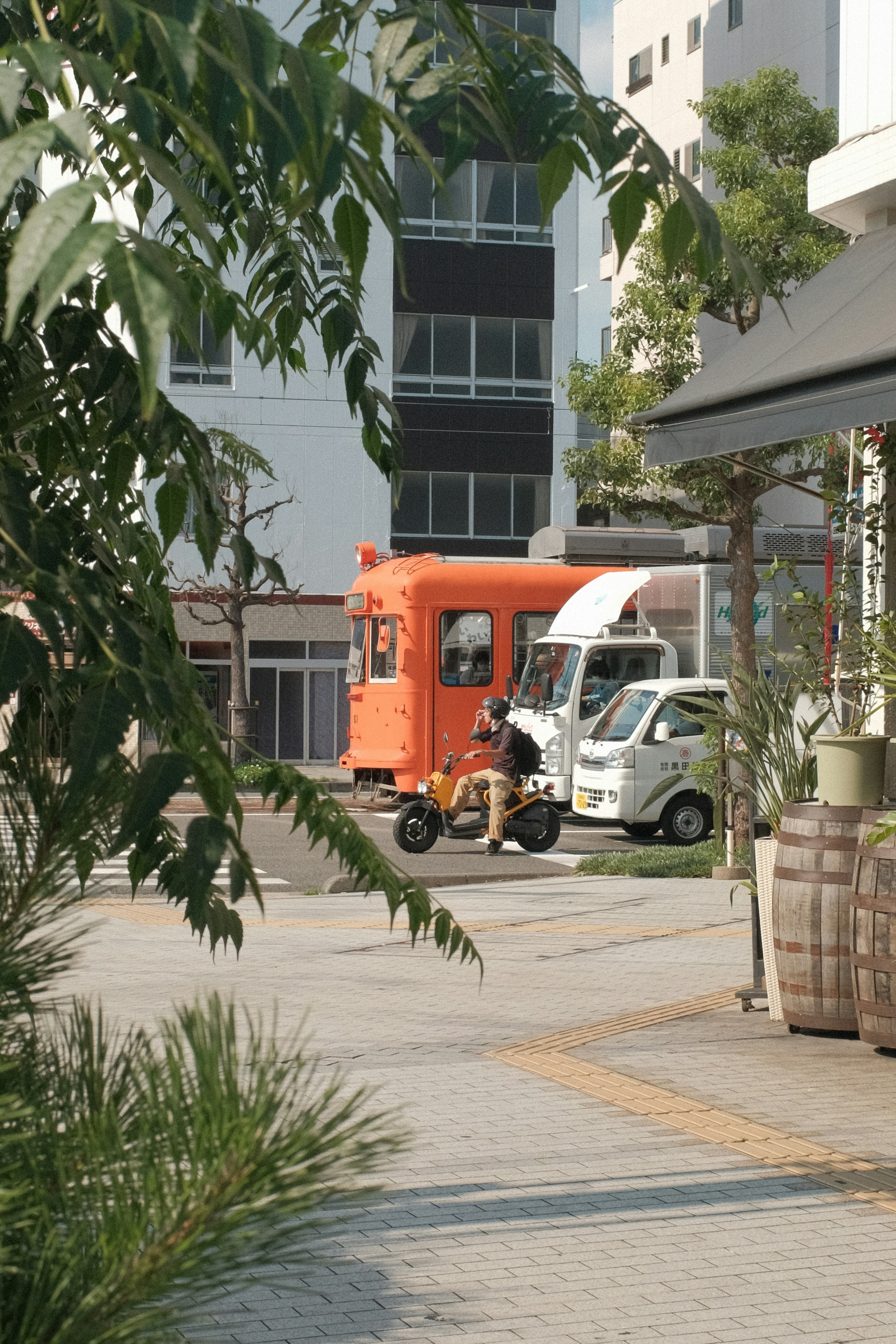 orange and white truck parked near green tree during daytime